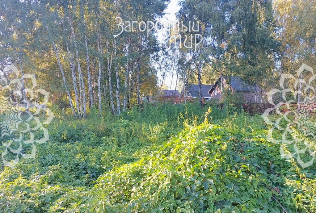 Продам участок, Горьковское шоссе, 40 км от МКАД - Фото 3