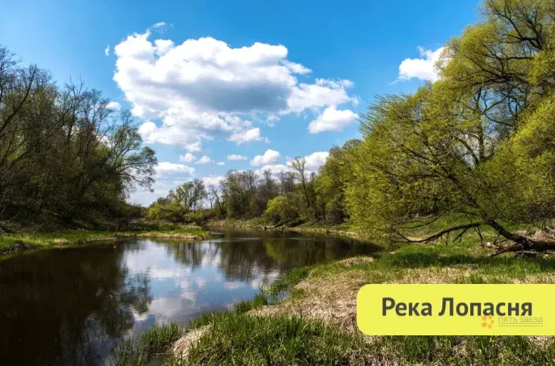 Продается участок с домом Городище, улица Лесная - Фото 32