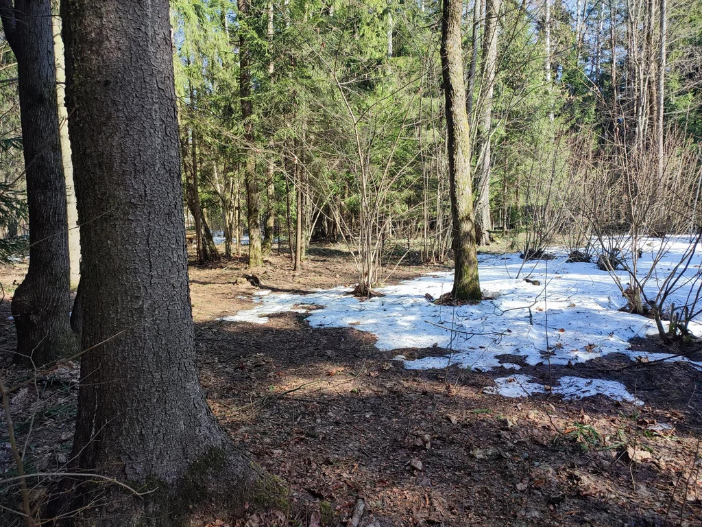 Продажа участка, НИИ Радио, Одинцовский район, Тыльная улица - Фото 6