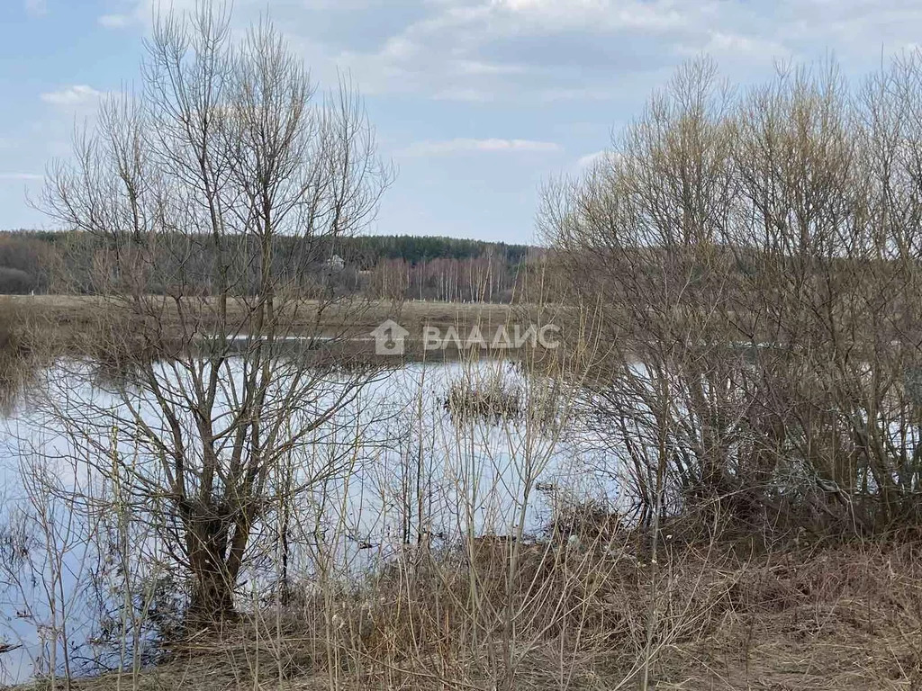 Суздальский район, село Абакумлево, дом на продажу - Фото 5