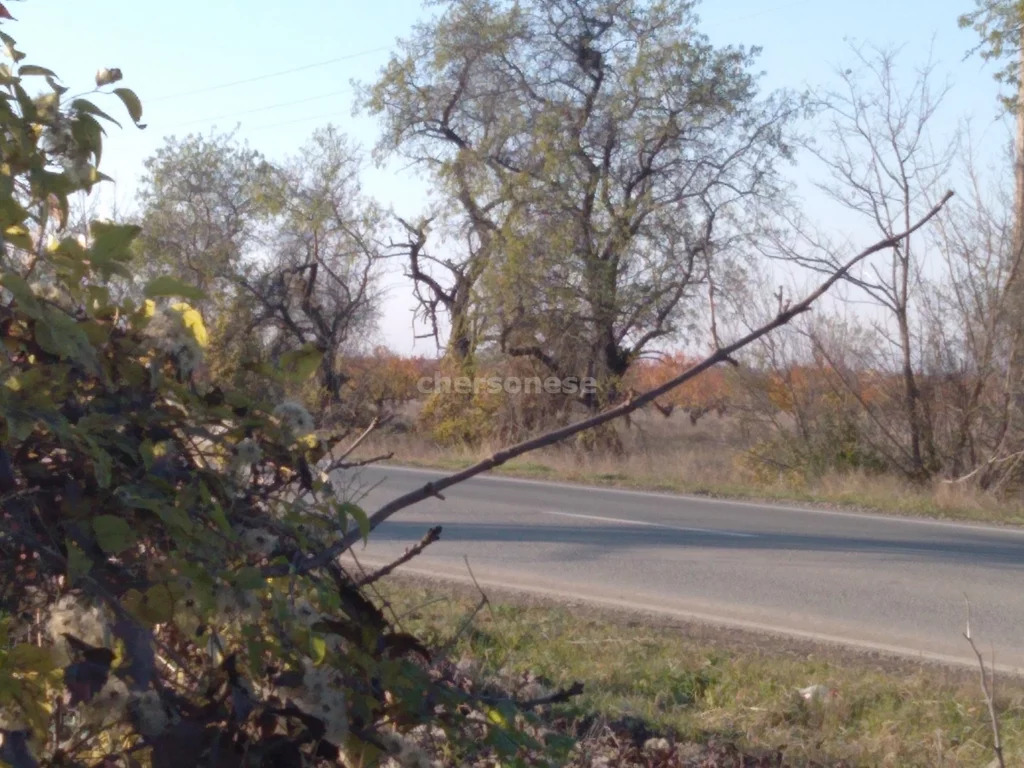 Купить Участок Песчаное Новгородский Район