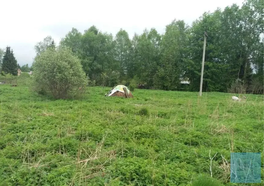 10,7 сотки в д. Лаптево, СНТ Дружба - Фото 3