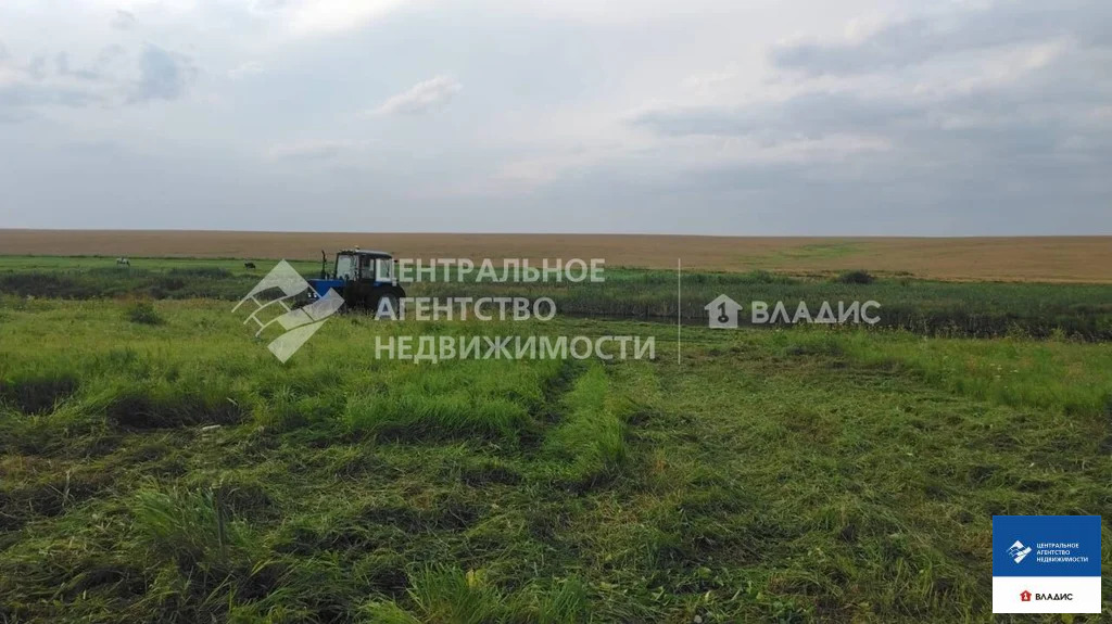 Продажа участка, Елино, Захаровский район - Фото 5