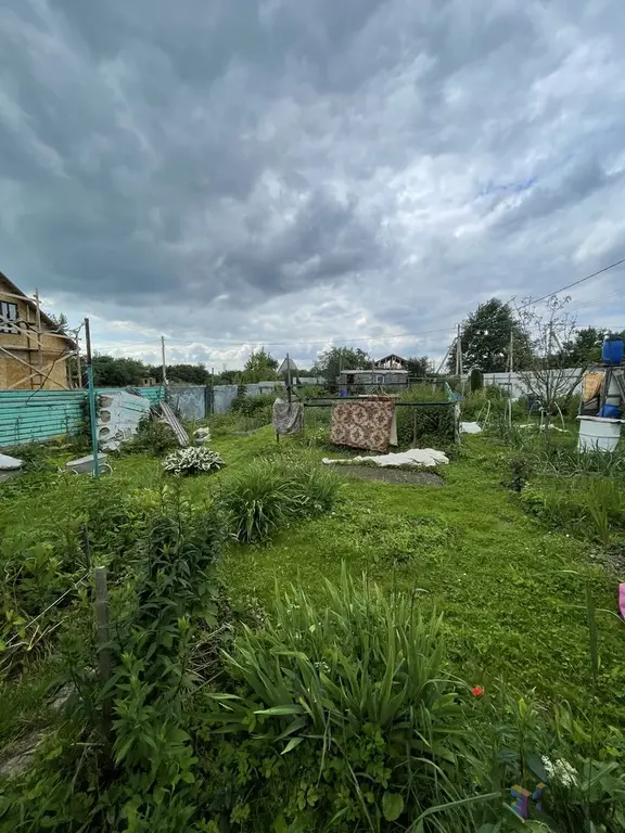 Продаю дачу 25 кв.м,  в с. Березнецово Ступинского района. - Фото 7