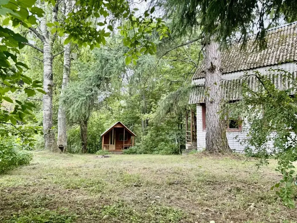 Срочно продается дача в красивом месте Переславского р., СНТ Строитель - Фото 7