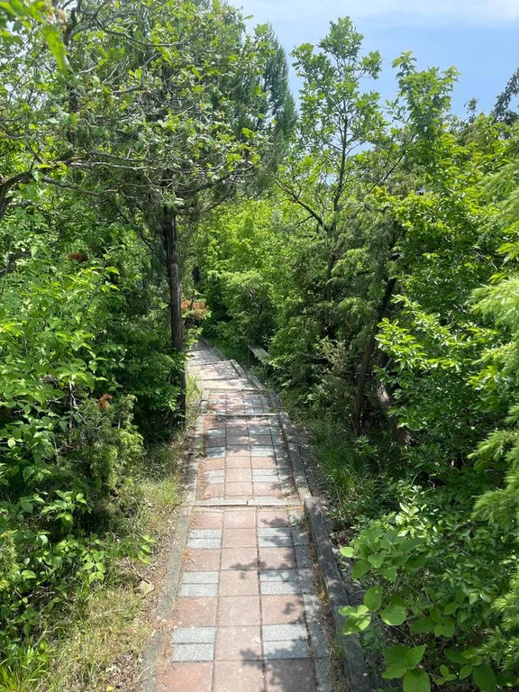 Дом 253.1 м2 на участке 7.2 сот. - Фото 8