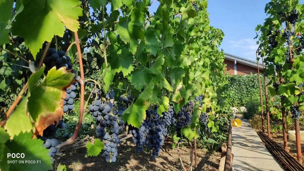 Продажа участка, Севастополь, территория СТ Сапун-гора - Фото 4