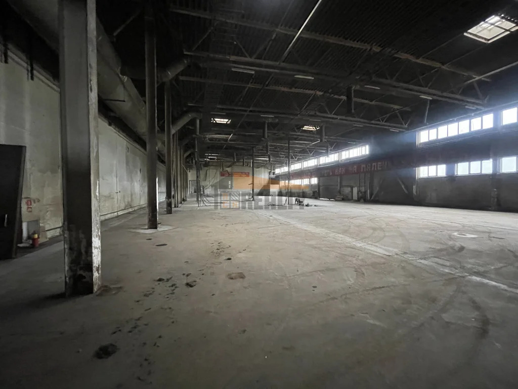 Аренда производственного помещения, Алешино, Пушкинский район - Фото 11