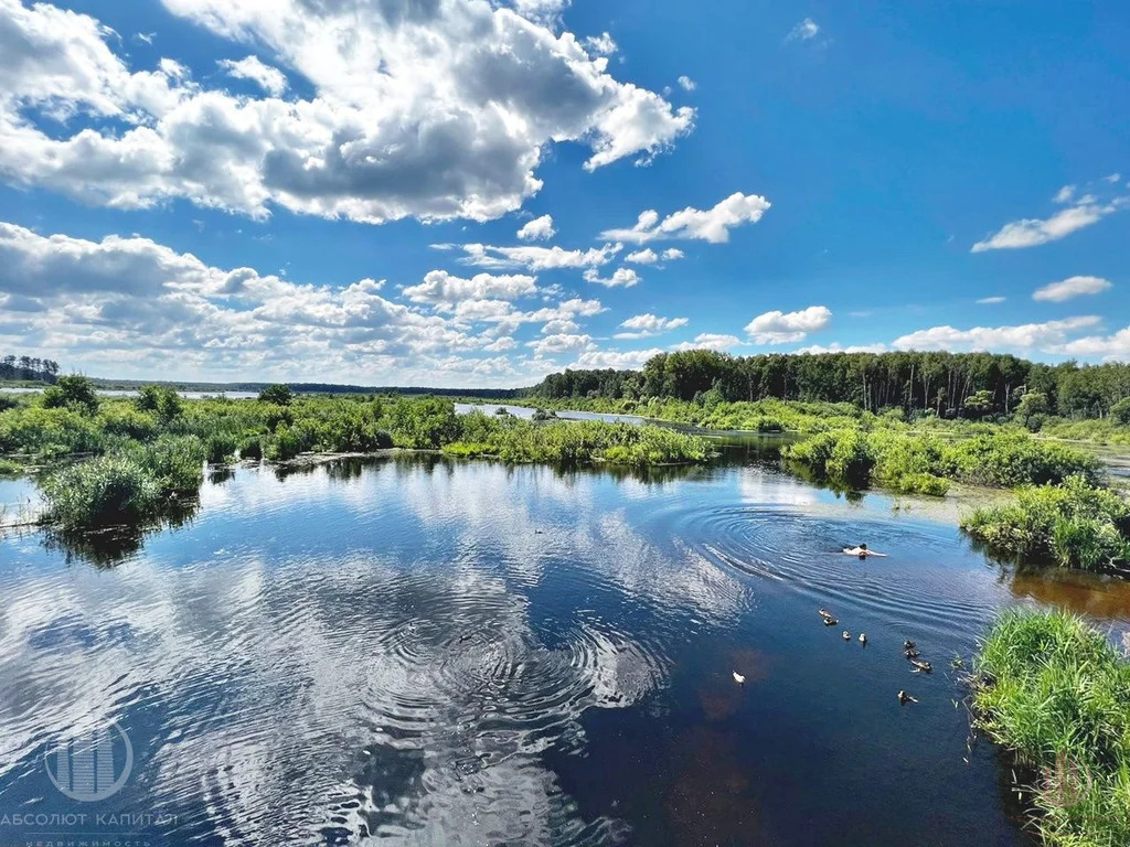 Продажа участка, Мытищи, Мытищинский район, СНТ Водоканал - Фото 6