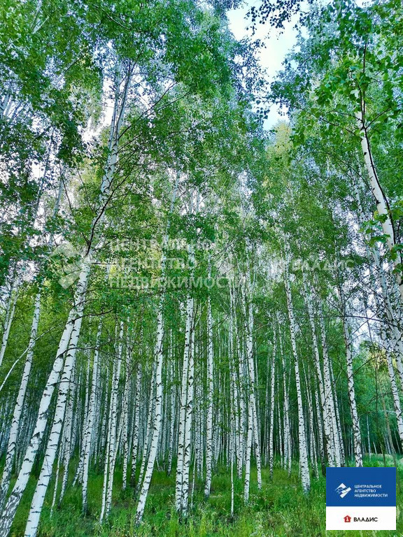 Продажа дома, Рязанский район, Лесная улица - Фото 20