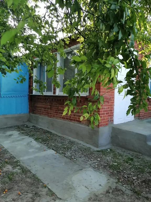 Продажа дома, Варнавинское, Абинский район, Спинова пер. - Фото 3
