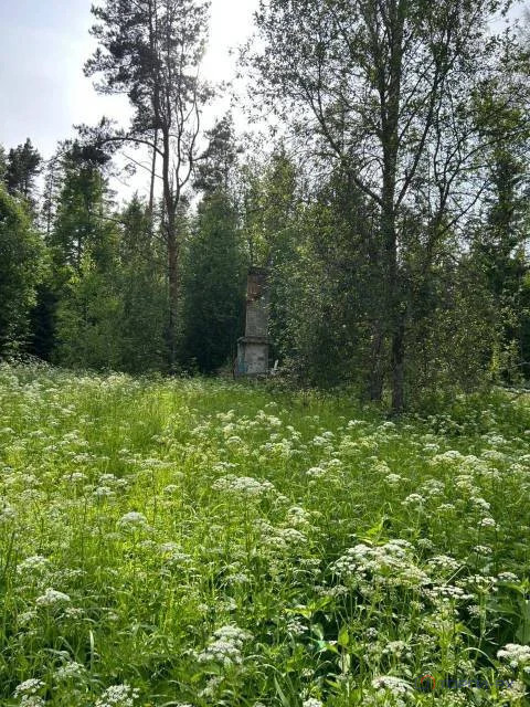 Продажа участка, Сланцы, Сланцевский район - Фото 1