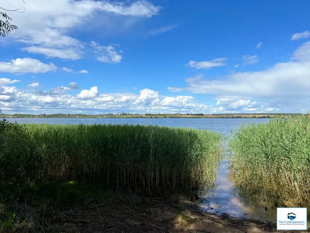 Участок в деревне Волынщино на первой линии Озернинского водохранилища - Фото 10