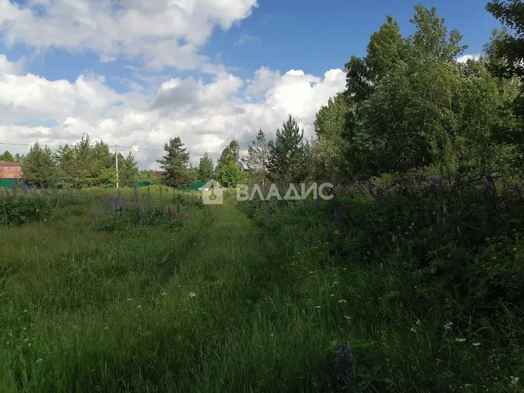 городской округ Владимир, Владимир, Октябрьский район, Селецкая улица, ... - Фото 0