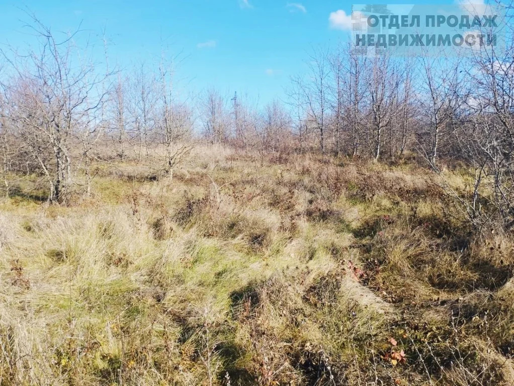 Объект 537728 - Фото 4