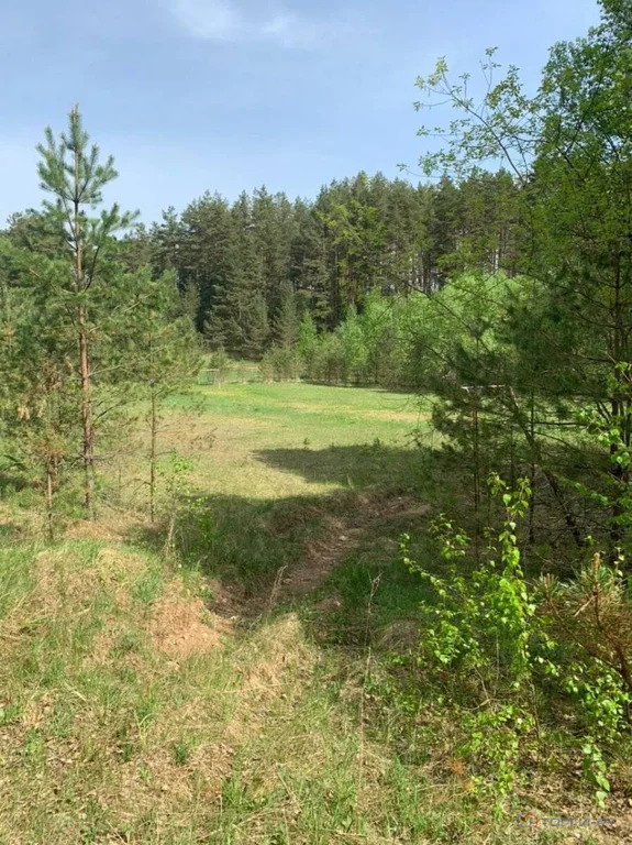 Продажа ПСН, Серебряники, Вышневолоцкий район - Фото 2
