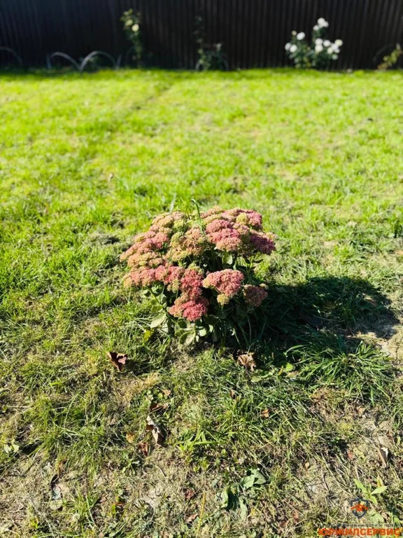 Продажа дома, Домодедово, Домодедово г. о., Московская обл - Фото 15