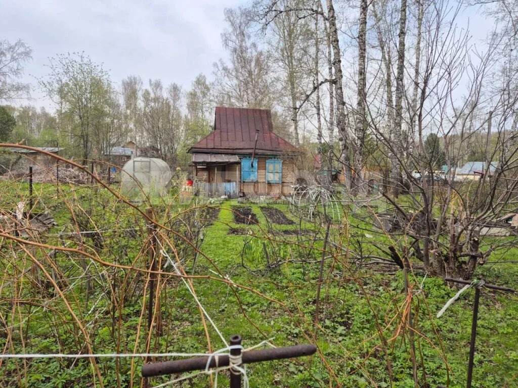 Продажа дома, Новосибирск, снт Заря - Фото 9