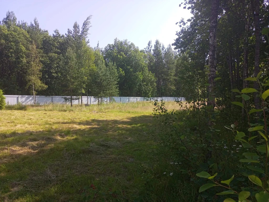 Продается земельный участок 23 сот. - Фото 18