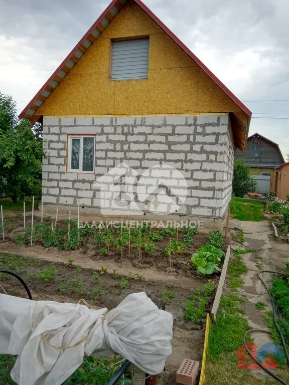 Новосибирский район, садоводческое некоммерческое товарищество ... - Фото 4