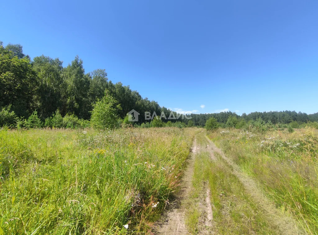 городской округ Владимир, деревня Уварово, Октябрьский район, улица ... - Фото 3