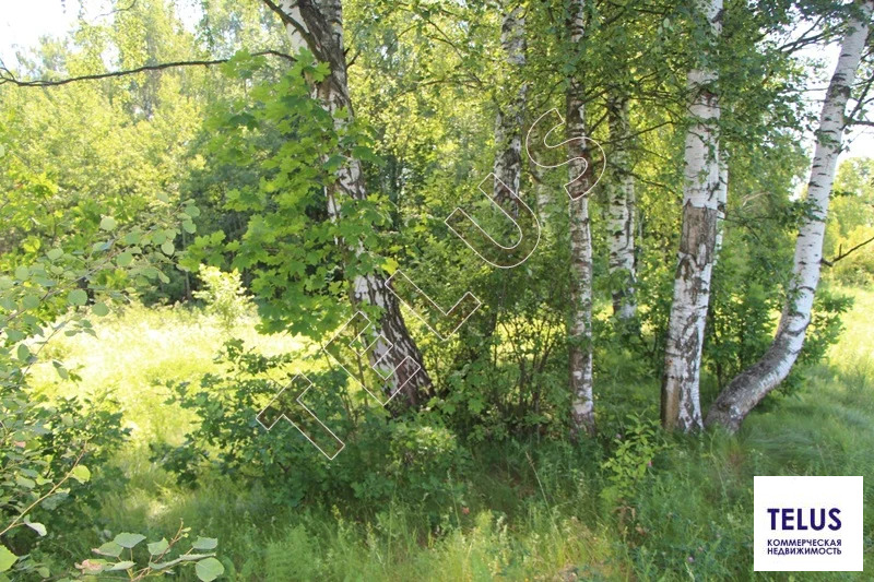 МО, Богородский г.о., с. Богослово, Земельный участок 7 га (ном. ... - Фото 8