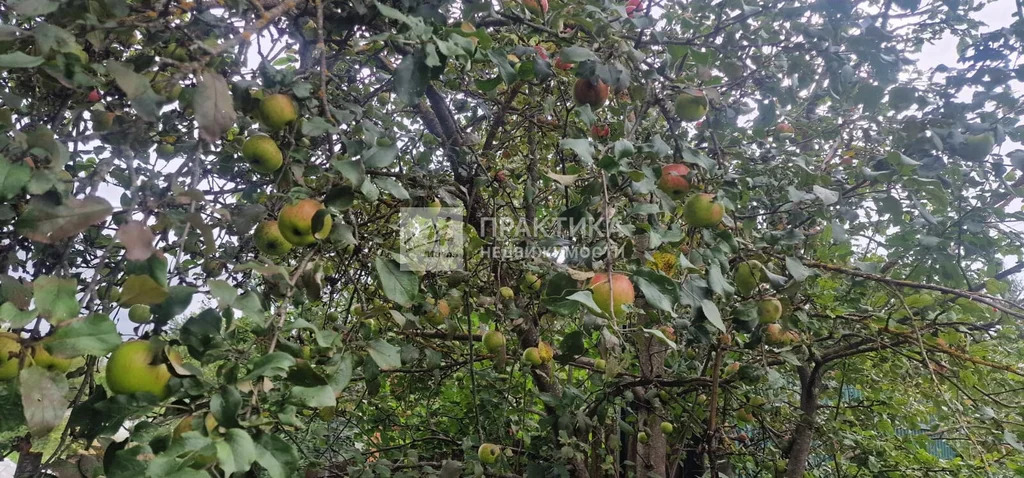 Продажа участка, Рузский район, СНТ Физик - Фото 14