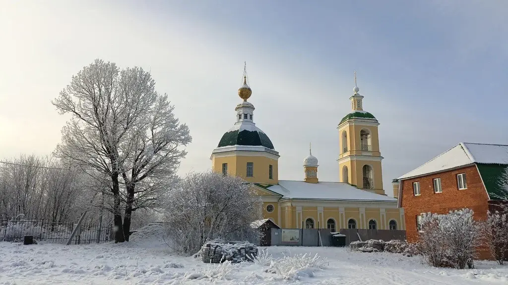 Продается дом в д.Ольявидово. Земли населенных пунктов, ЛПХ - Фото 6