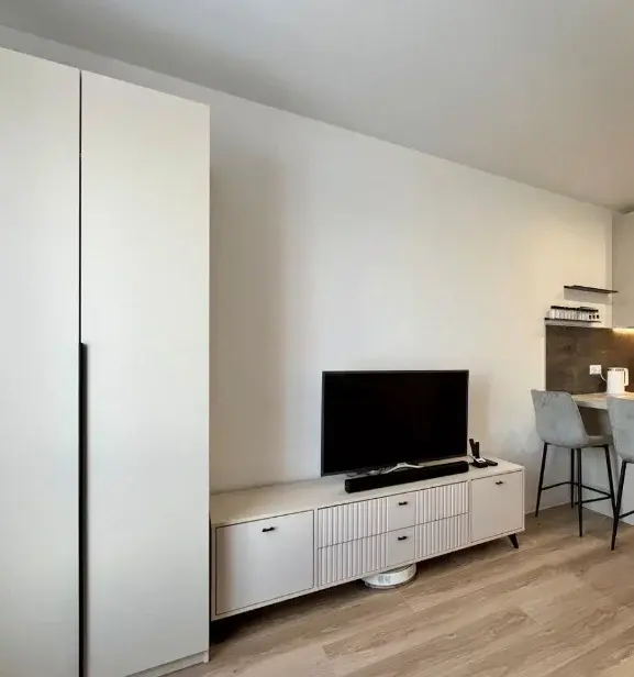 Пушкинская, 1/2 (1комн) 31000 рублей - Фото 4