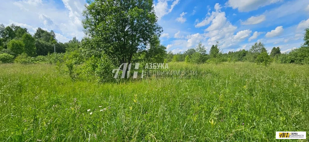 Продажа участка, Барынино, Рузский район - Фото 0