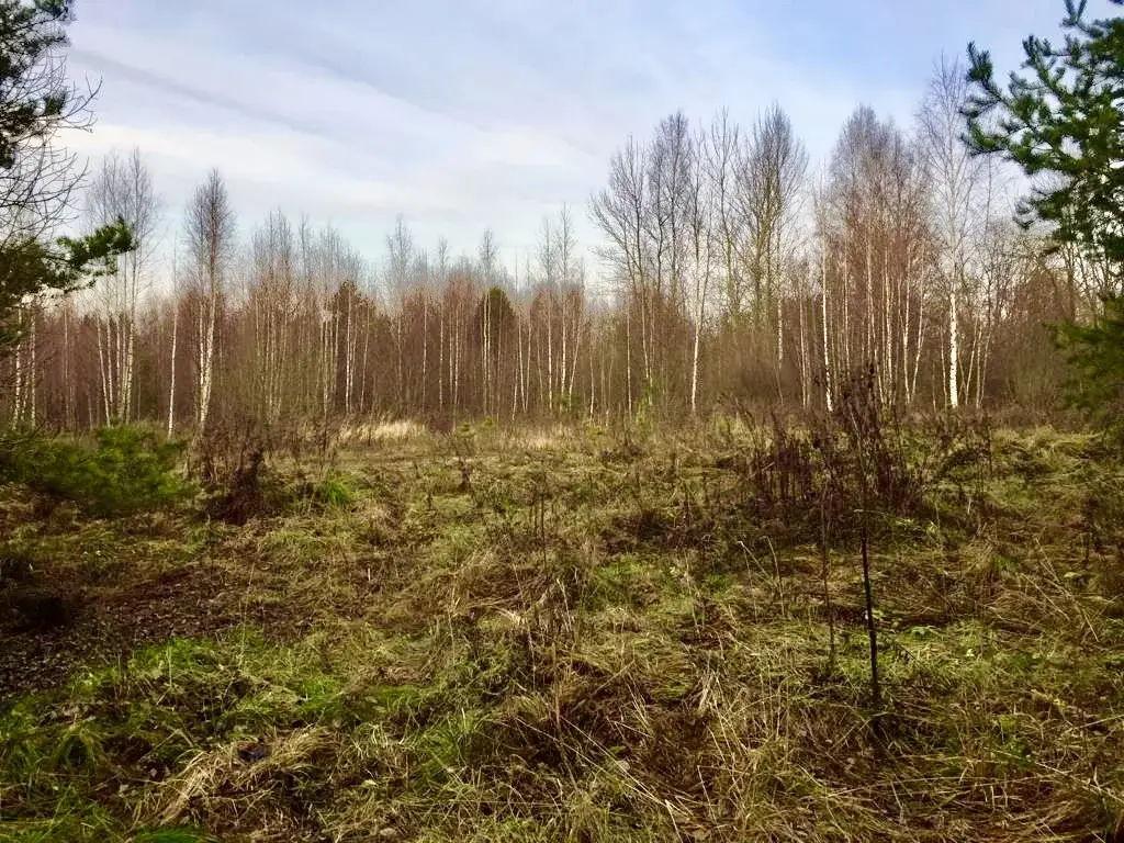 Купить Участок Ижс В В Районе