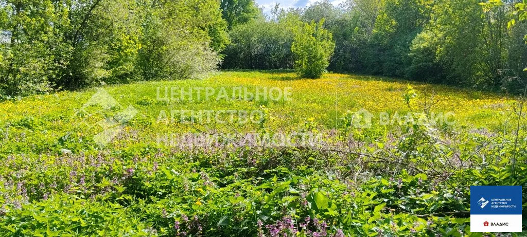 Продажа участка, Семено-Оленинское, Рязанский район, ул. Лесная - Фото 1