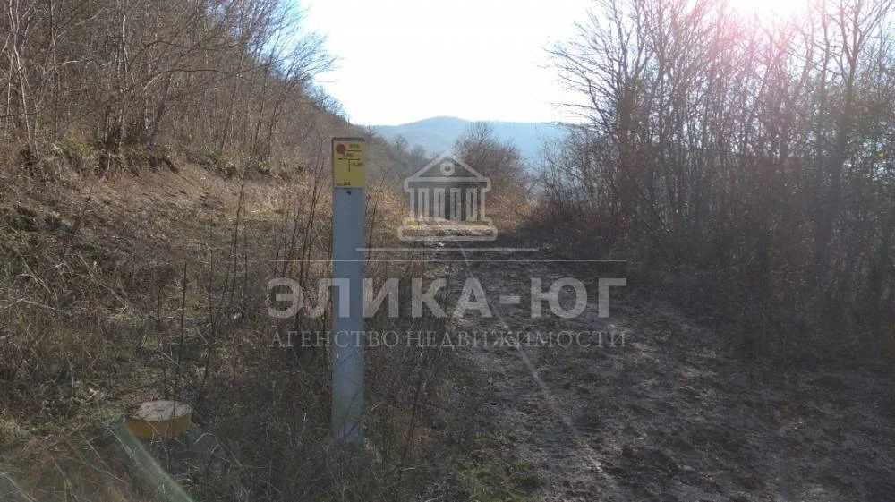 Продажа участка, Новомихайловский, Туапсинский район, Листопадная ул. - Фото 7