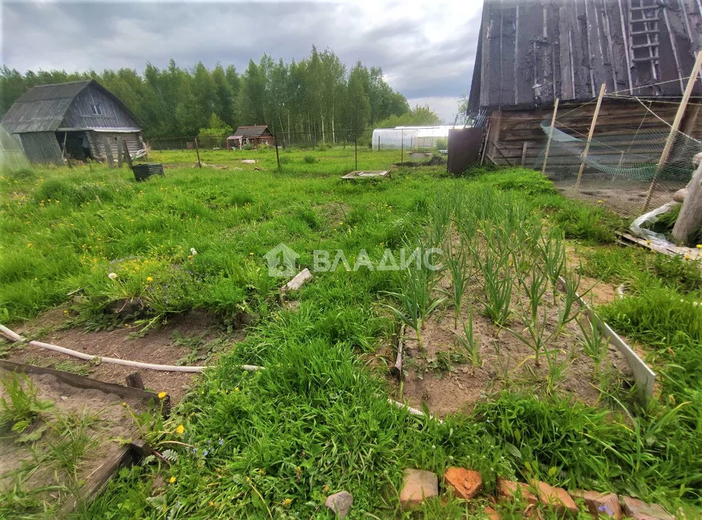 Судогодский район, село Картмазово, улица Гагарина,  дом на продажу - Фото 5