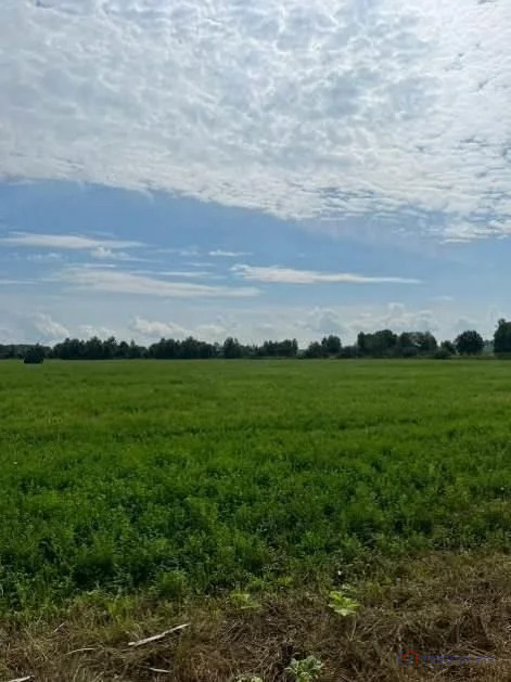 Продажа земельного участка, Сумароково, Рузский район - Фото 3