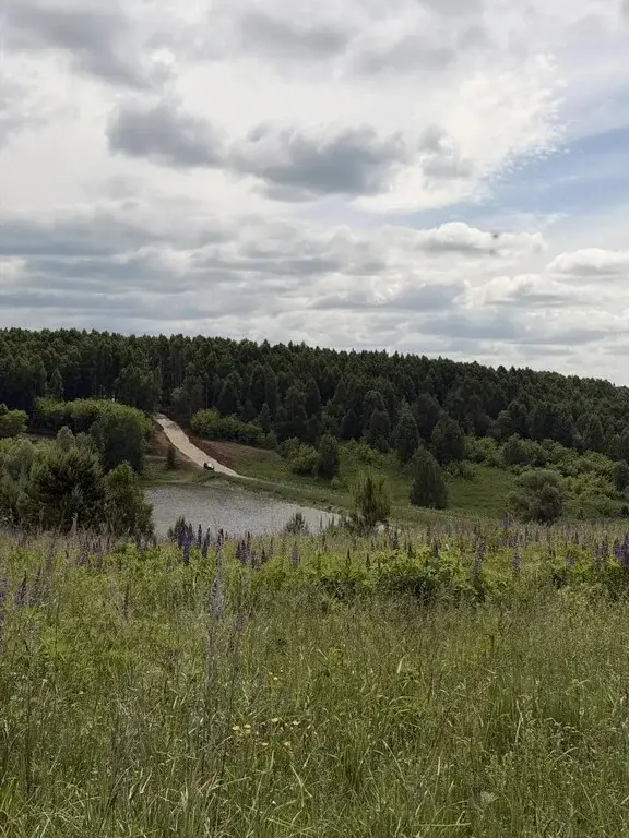 Купить участок 10.0 сот. Татарстан респ., Зеленодольский район, ... - Фото 13