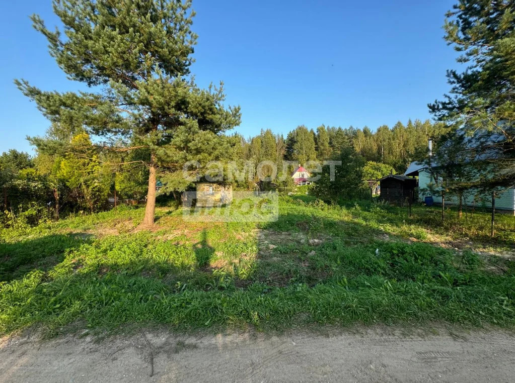 Продажа участка, Талдомский район, Журавли тер. СНТ. - Фото 11