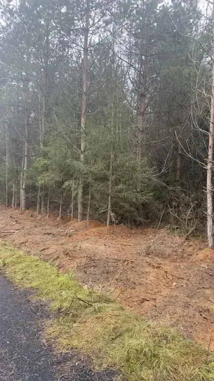 Лесные участки в Истринском районе! - Фото 8