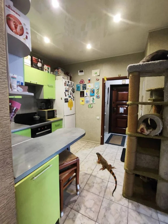 Продажа квартиры, Дмитров, Дмитровский район, Спасская улица - Фото 11