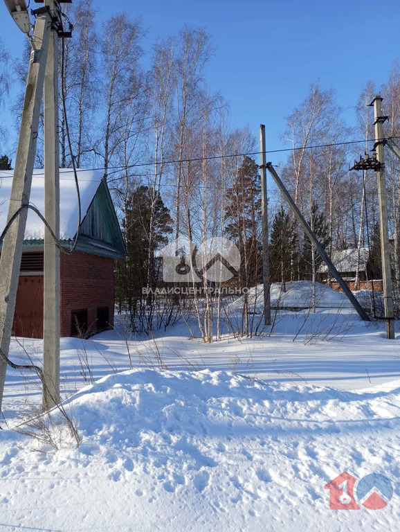 городской округ Бердск, Бердск, посёлок Светлый, Таёжная улица,  земля ... - Фото 2