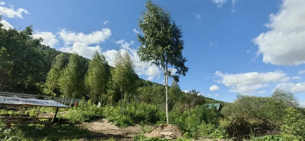 Живописный участок в Белокурихе от собственника! - Фото 11