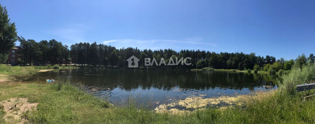 городской округ Владимир, посёлок Заклязьменский, Октябрьский район, ... - Фото 9