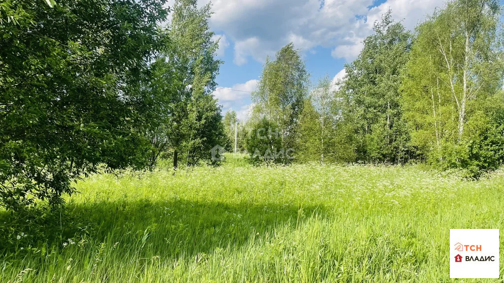 Продажа участка, Ямкино, Богородский г. о. - Фото 6