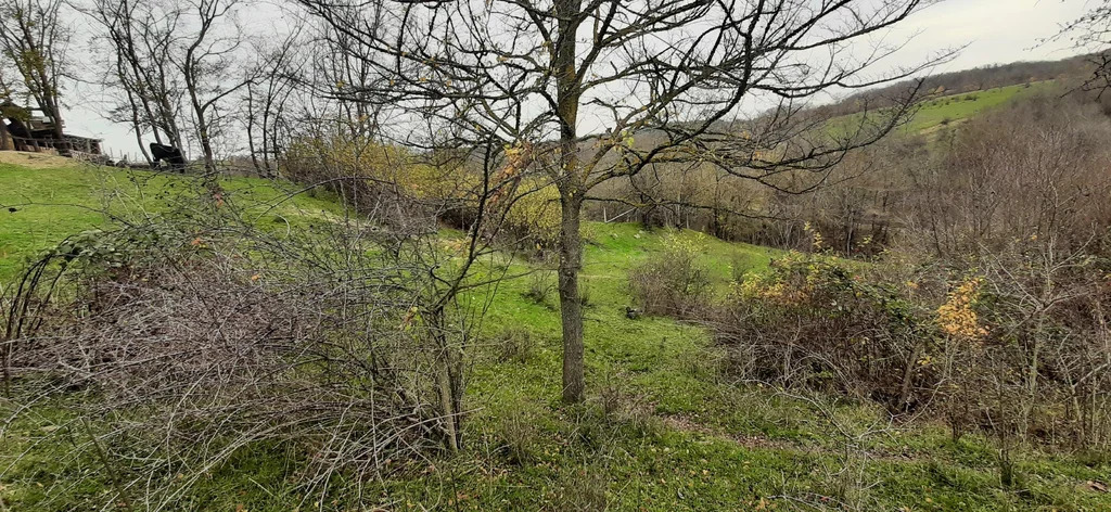 Продажа участка, Богатырь, Бахчисарайский район, ул. Шевченко - Фото 14