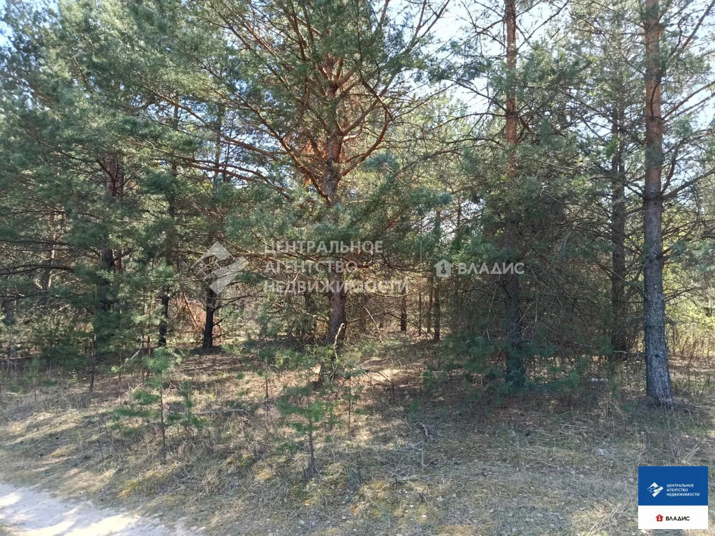Продажа участка, Спасский район, садоводческое товарищество Луч-1 - Фото 2