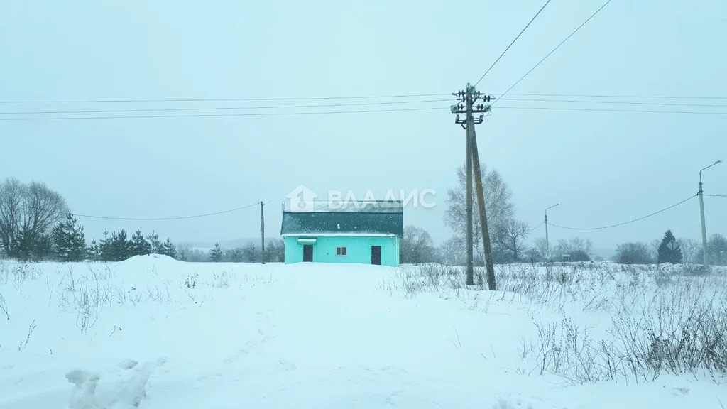 Суздальский район, село Кутуково,  дом на продажу - Фото 0