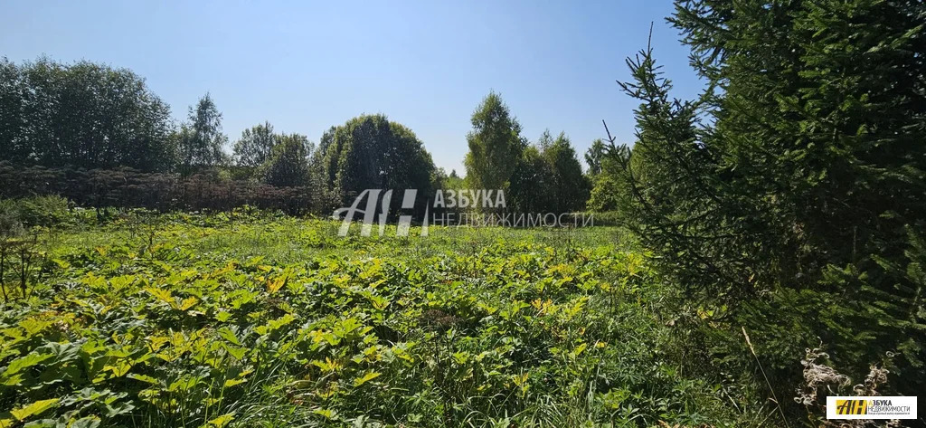 Продажа участка, НовоКурово, Рузский район - Фото 0