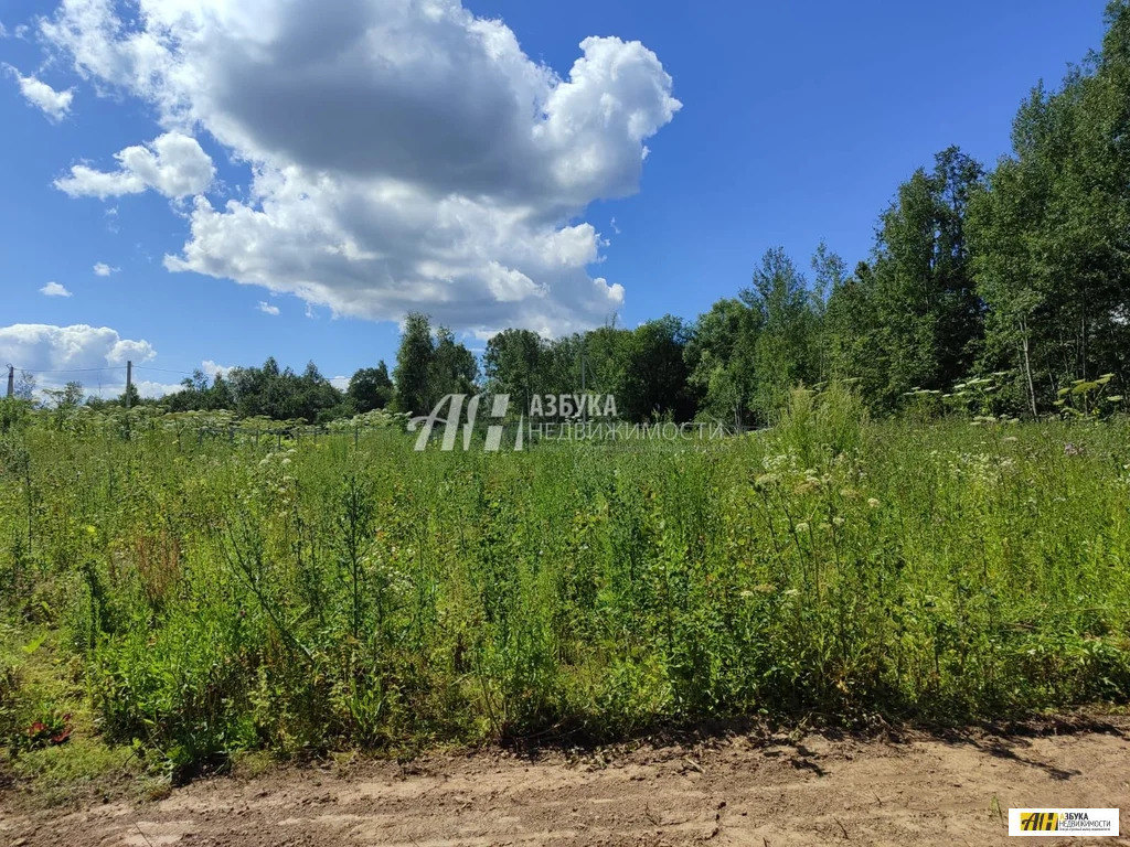 Продажа участка, Старотеряево, Рузский район - Фото 10