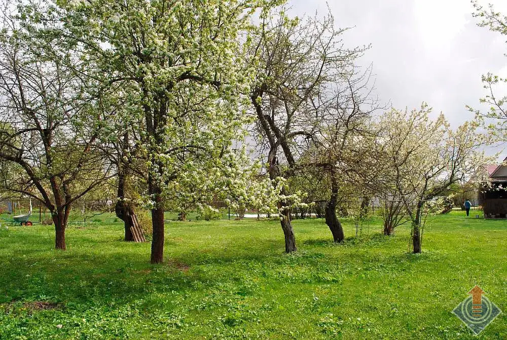 Продажа дома с баней в д. Мерчалово, Наро-Фоминский район - Фото 13
