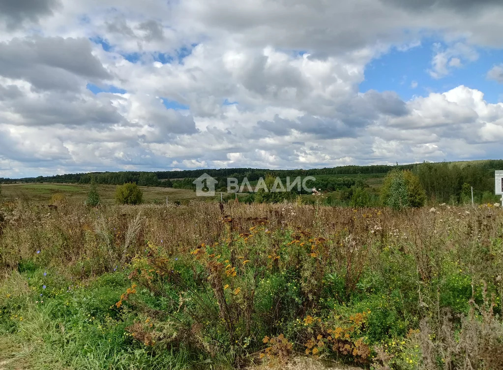 городской округ Владимир, село Мосино, Ленинский район,  земля на ... - Фото 0